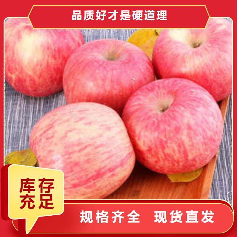 红富士苹果,红富士苹果批发品质值得信赖