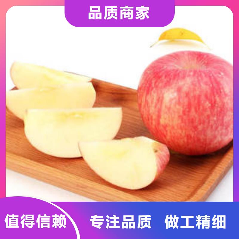 购买【景才】红富士苹果苹果种植基地优选好材铸造好品质