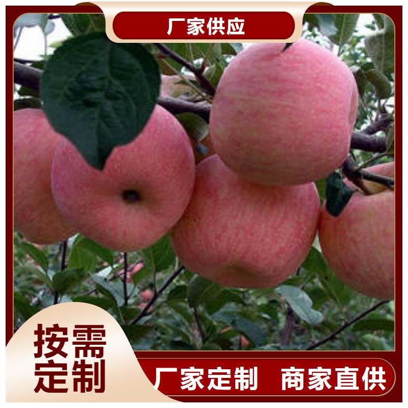 定制(景才) 红富士苹果极速发货
