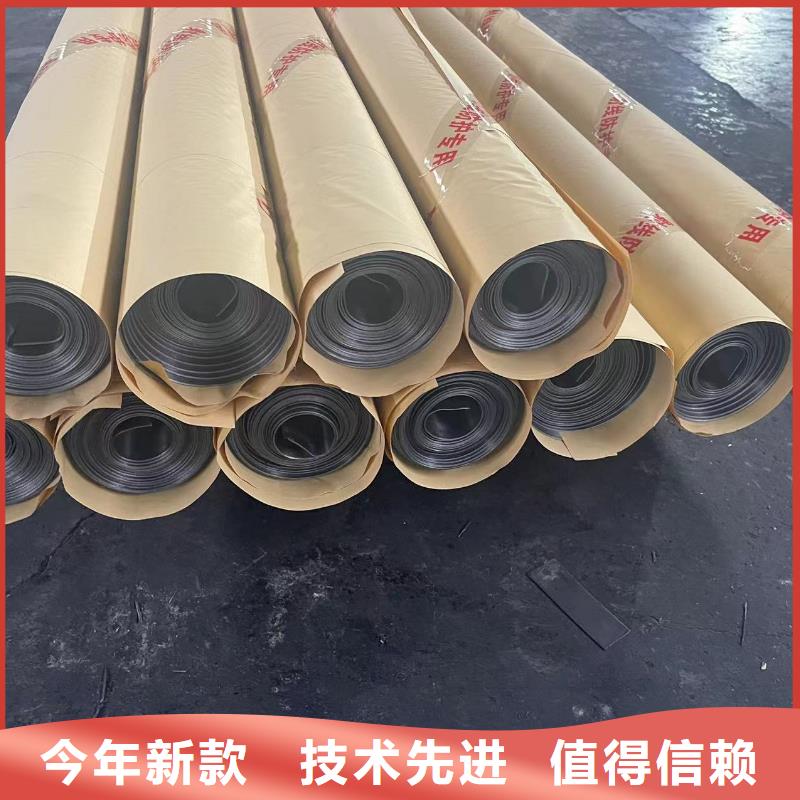 宠物医院辐射防护铅门生产厂家