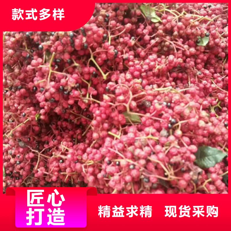 花椒苗梨树苗品质之选