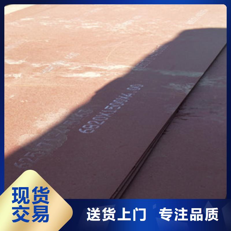 源头厂家供应<瑞吉尔>进口耐磨钢板_nm500耐磨钢板加工定制