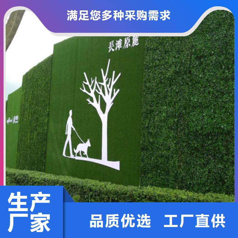 草坪围挡工地围挡草坪现货批发