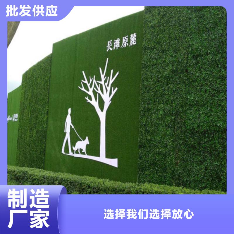 草坪围挡人造草坪围挡品质之选