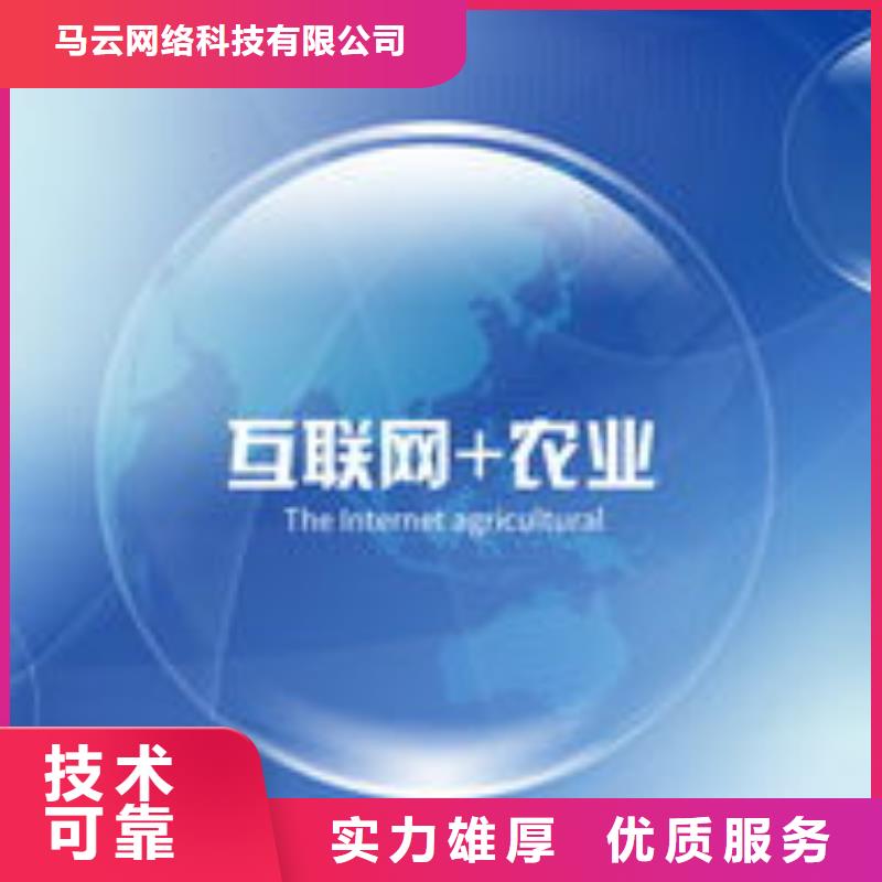 马云网络【网络公司】技术成熟