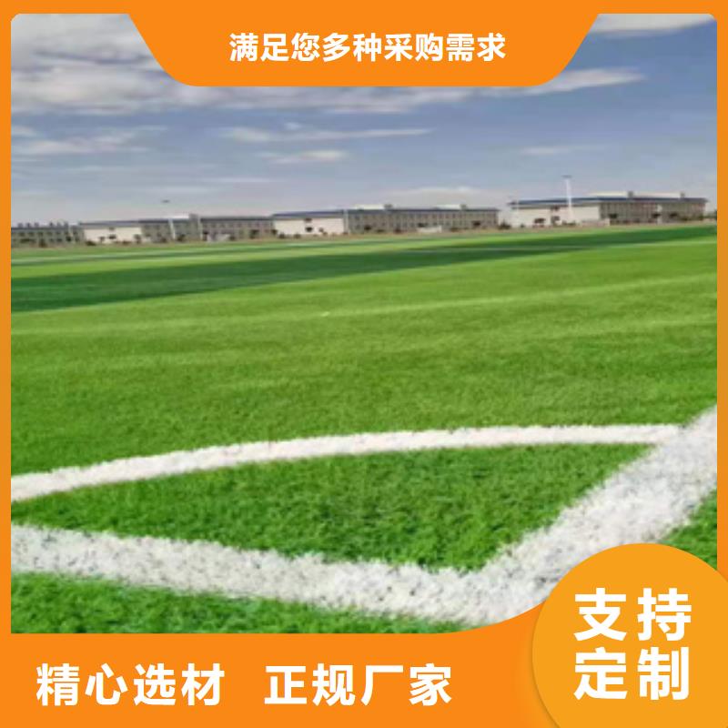 人造草坪,室外塑胶跑道为您提供一站式采购服务