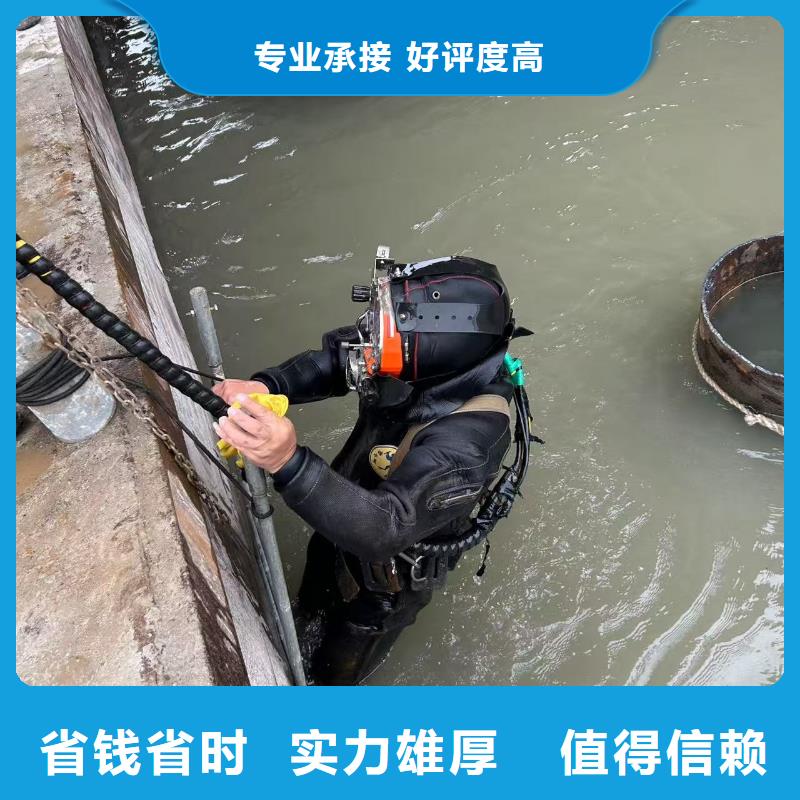 水下摄影精湛、成熟