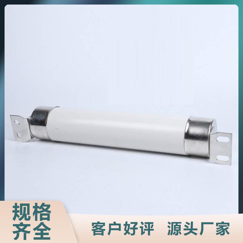 【高压熔断器_高压限流熔断器联系厂家】