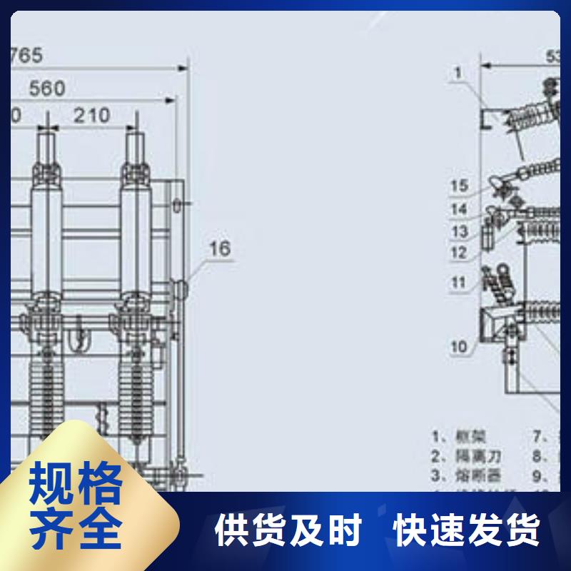 高压负荷开关_FKN12-12/630A现货充裕