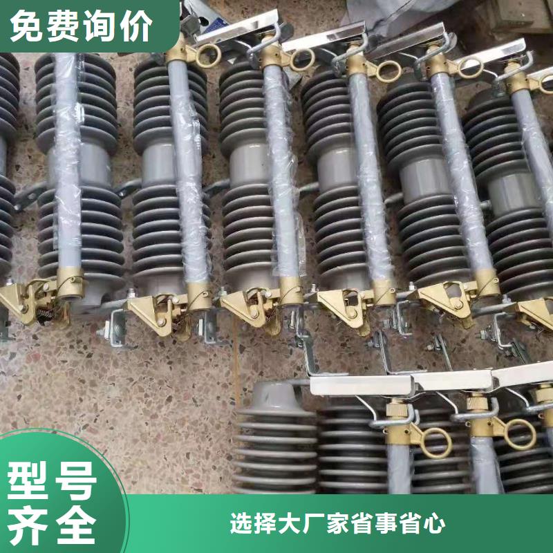 【跌落式熔断器高压氧化锌避雷器支持大批量采购】