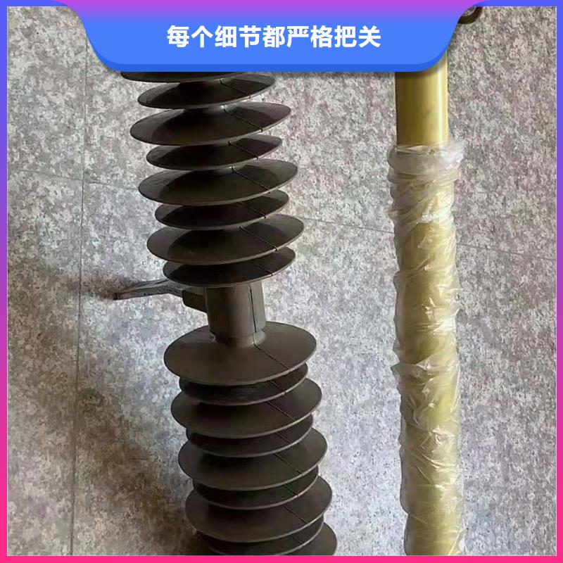 【跌落式熔断器避雷器服务始终如一】