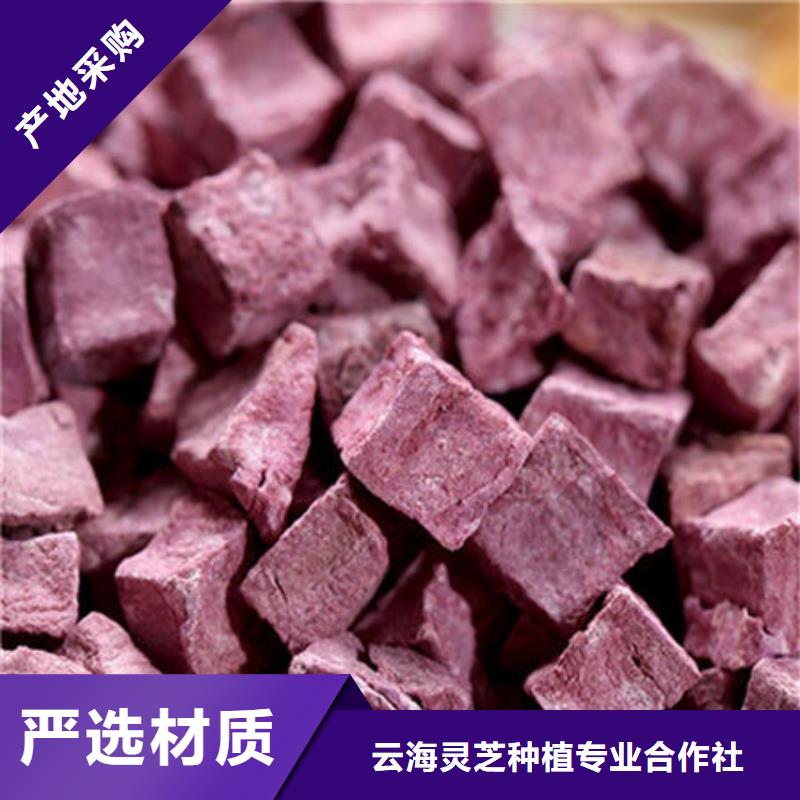 【紫薯丁】,灵芝菌种厂家现货批发