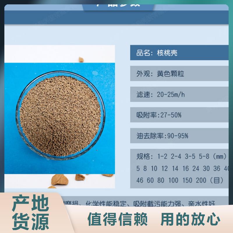 核桃壳滤料_蜂窝斜管信誉有保证