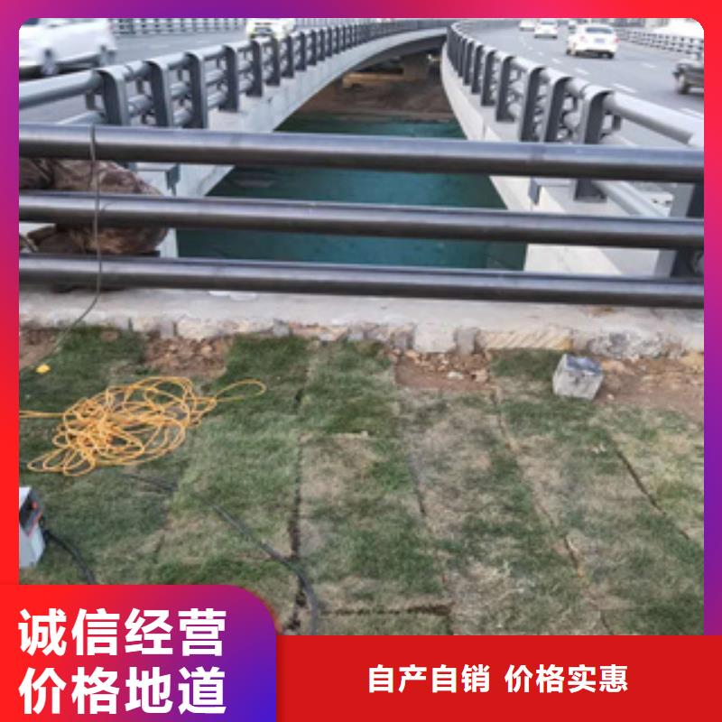 【展鸿】碳钢喷漆桥梁防撞护栏性能稳定-展鸿护栏有限公司