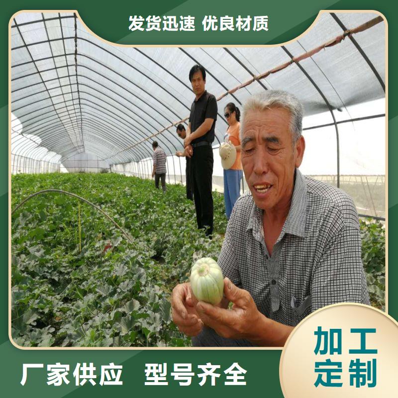 茂南连栋大棚种植产品介绍2024