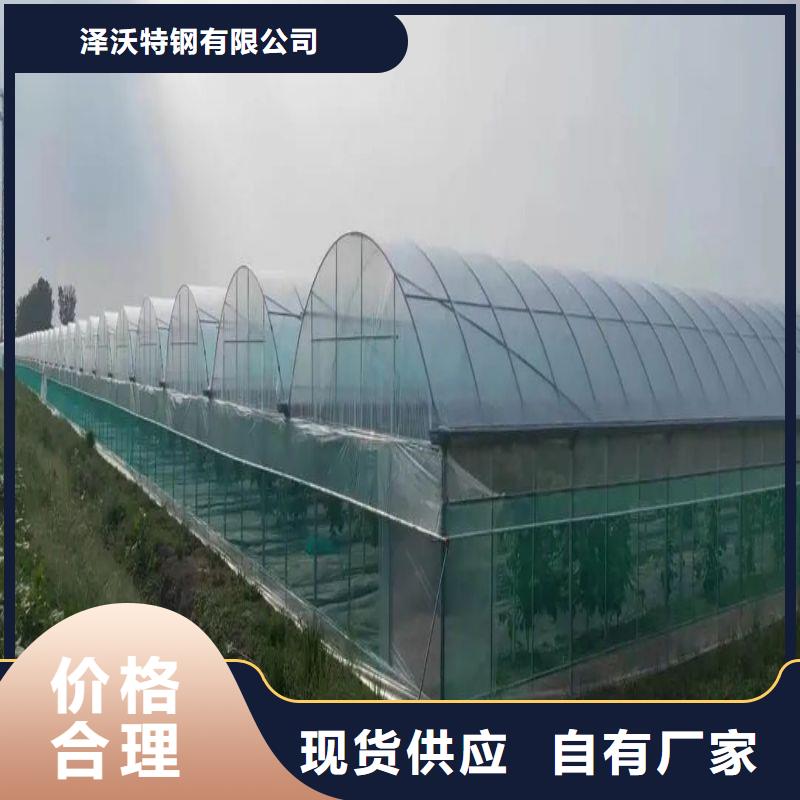 茂南连栋大棚种植产品介绍2024