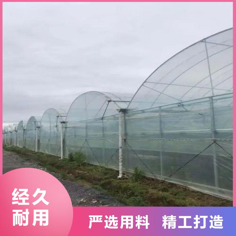 青阳县种植大棚采购