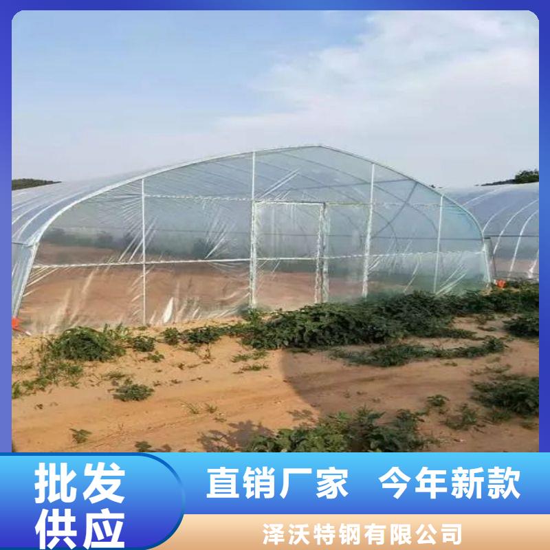 蓝山连栋大棚种植推荐厂家2024