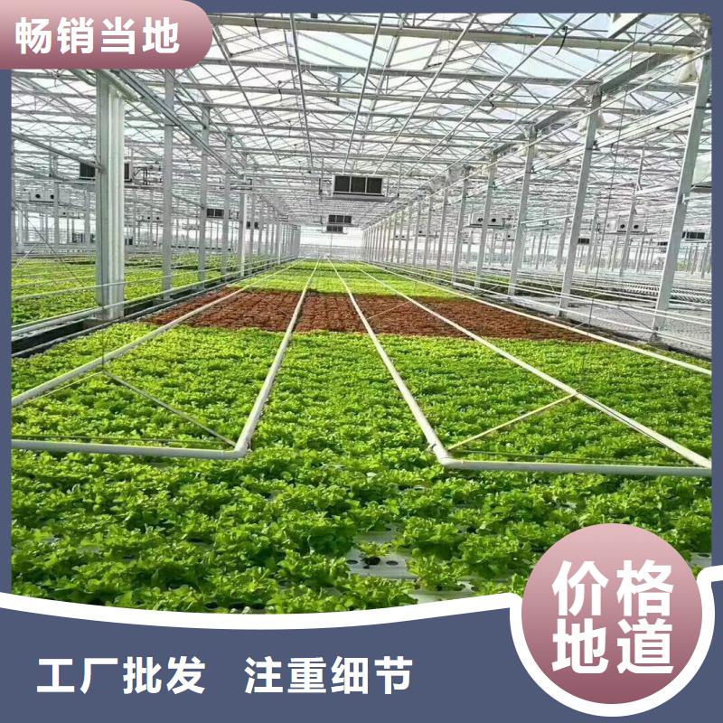 广东省佛山市均安镇定尺连栋蔬菜大棚管联系电话