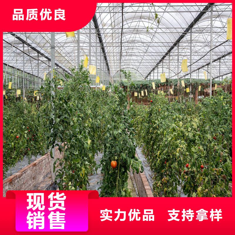 铜鼓q195材质大棚管生产厂家