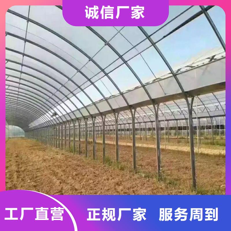 云龙种植单体大棚制造厂家