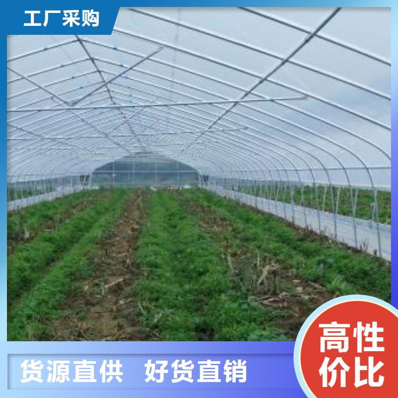 景泰蔬菜大棚管品质优2024已更新