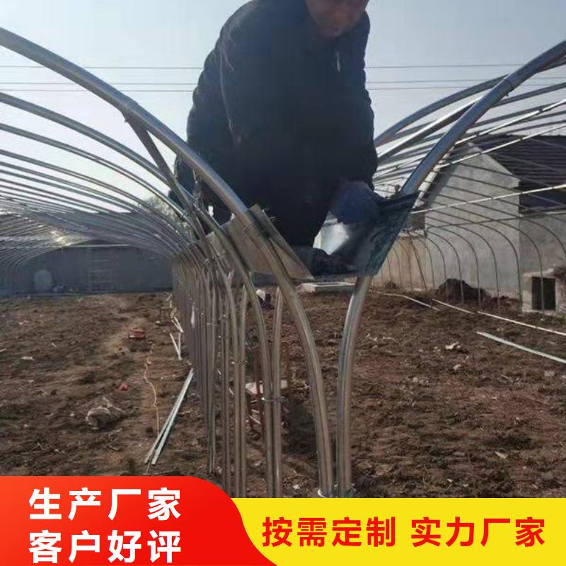 建华区大棚口碑好