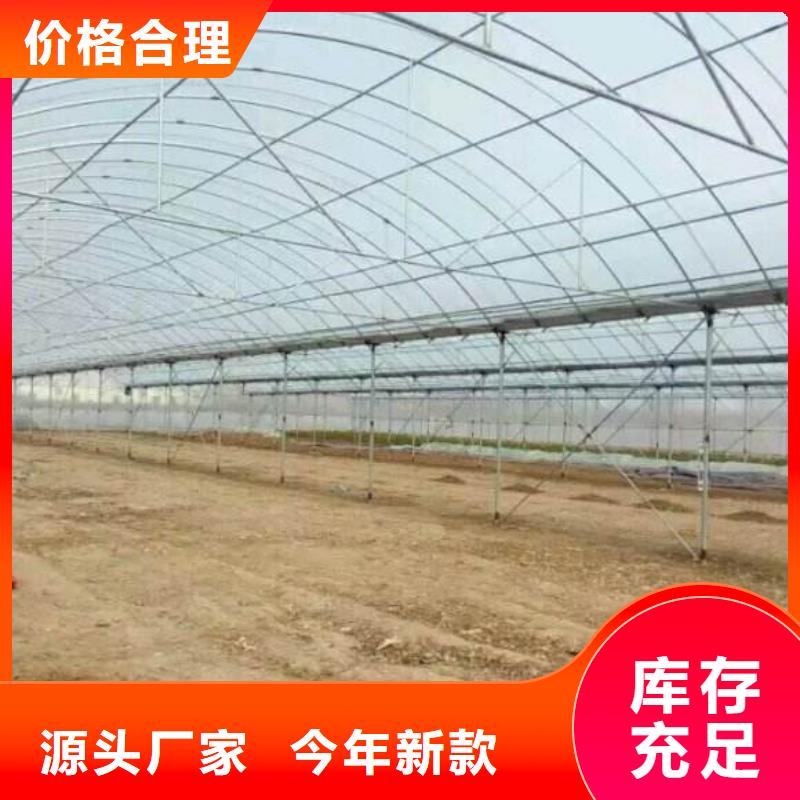 大棚管种植基地2024已更新