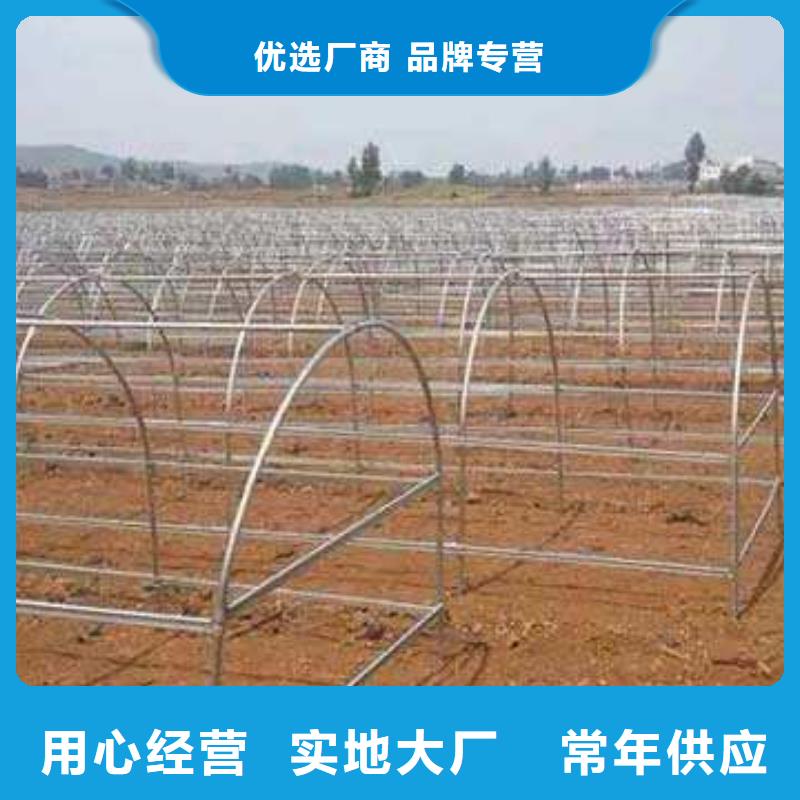 东凤镇薄壁镀锌管专业温室材料供应商
