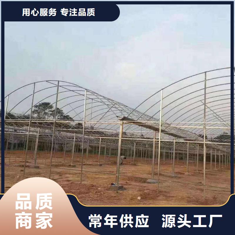 东凤镇薄壁镀锌管专业温室材料供应商