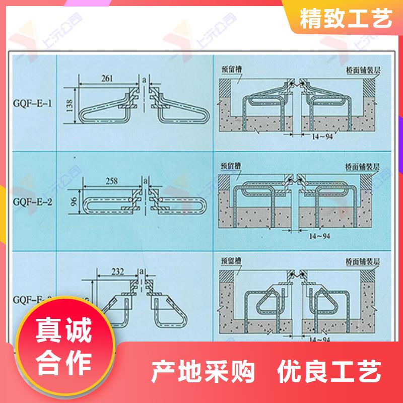 【桥梁伸缩缝_止水带专业设计】