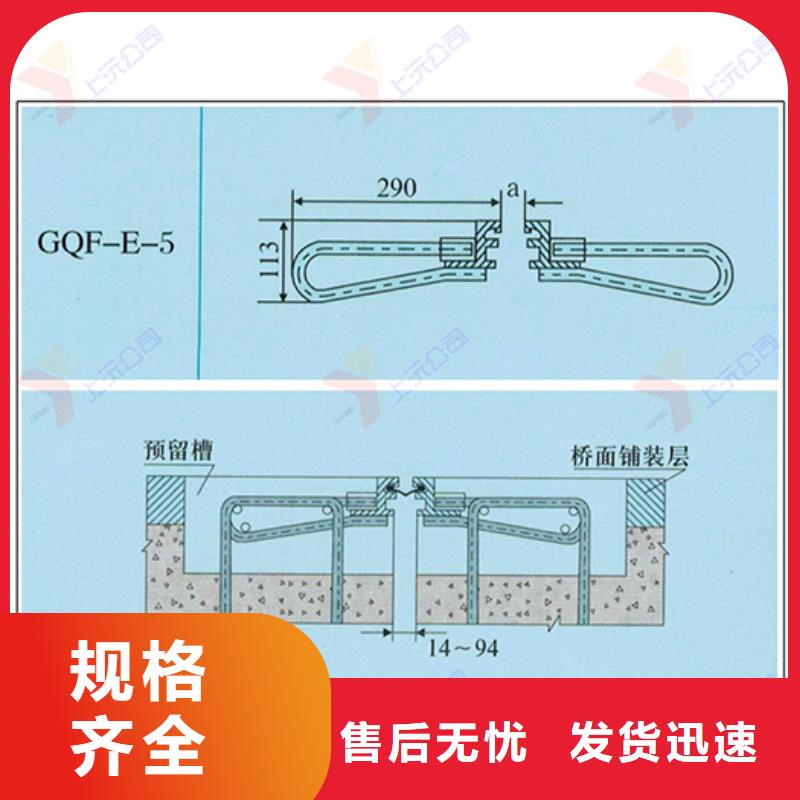 桥梁伸缩缝【单向支座】厂家实力大