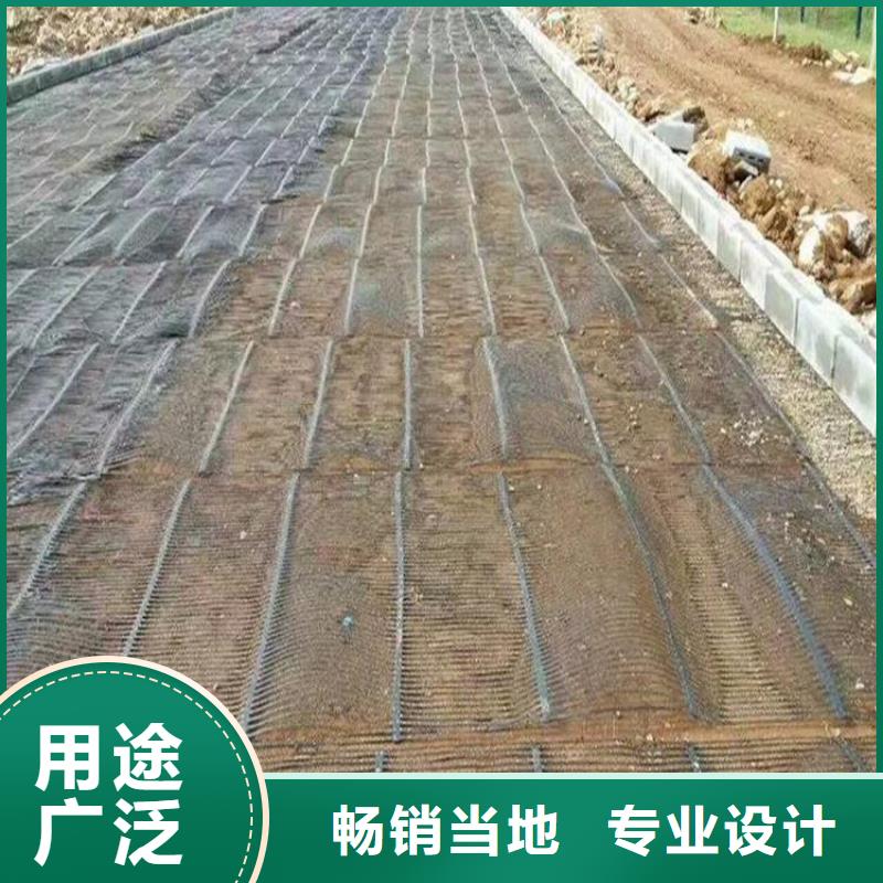 单向塑料土工格栅双向拉伸塑料格栅供应商