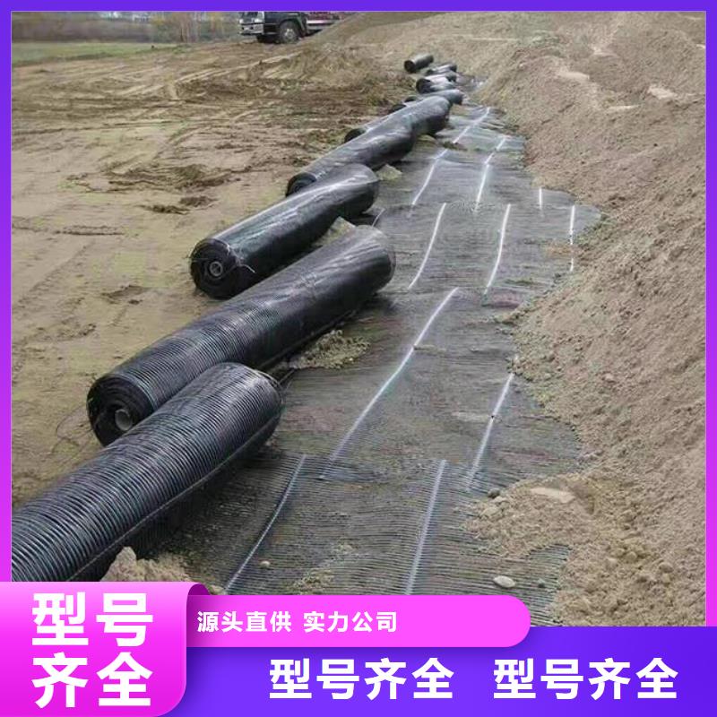 单向塑料土工格栅双向拉伸塑料格栅供应商