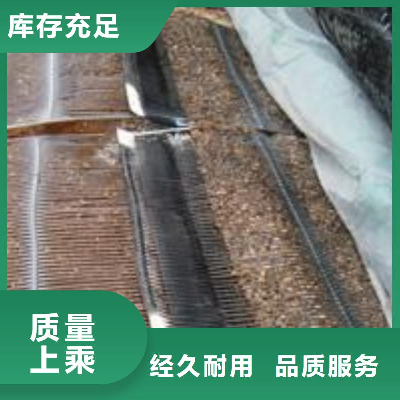 单向塑料土工格栅PVC防水卷材根据要求定制