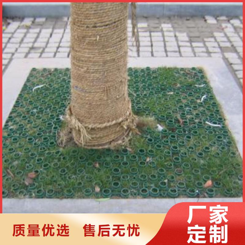 【植草格】PVC防水卷材厂家现货批发