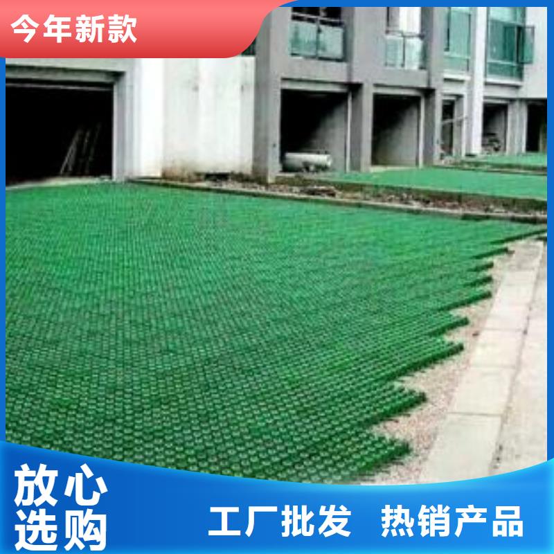 【植草格】双向塑料土工格栅实时报价