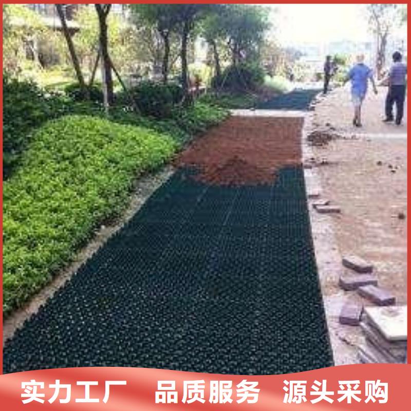 植草格【双向拉伸塑料格栅】现货满足大量采购