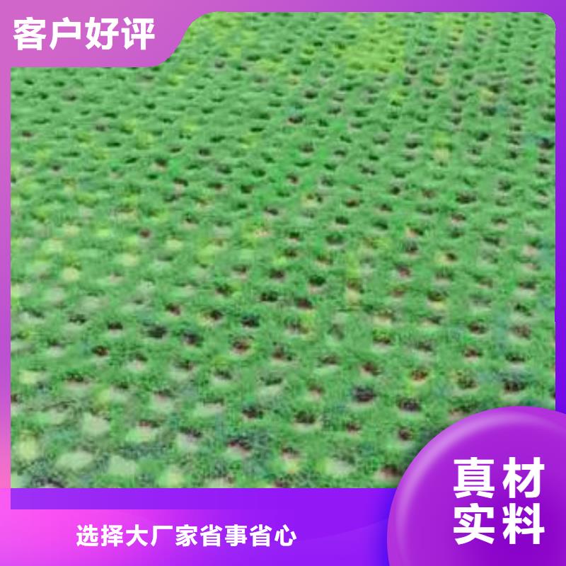 植草格毛细排水板实体厂家