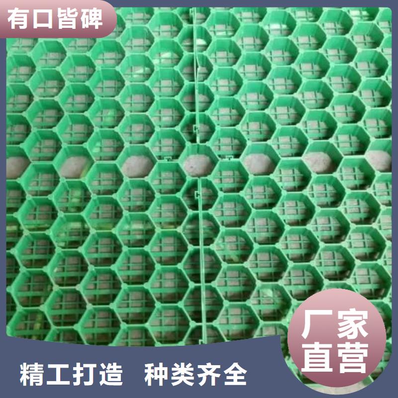 植草格【双向拉伸塑料格栅】现货满足大量采购