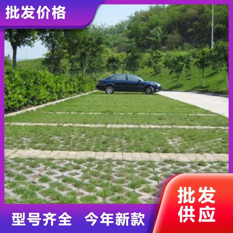 【植草格】双向塑料土工格栅实时报价