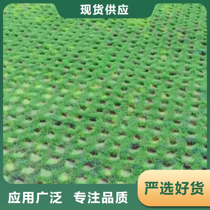 【植草格】PVC防水卷材厂家现货批发