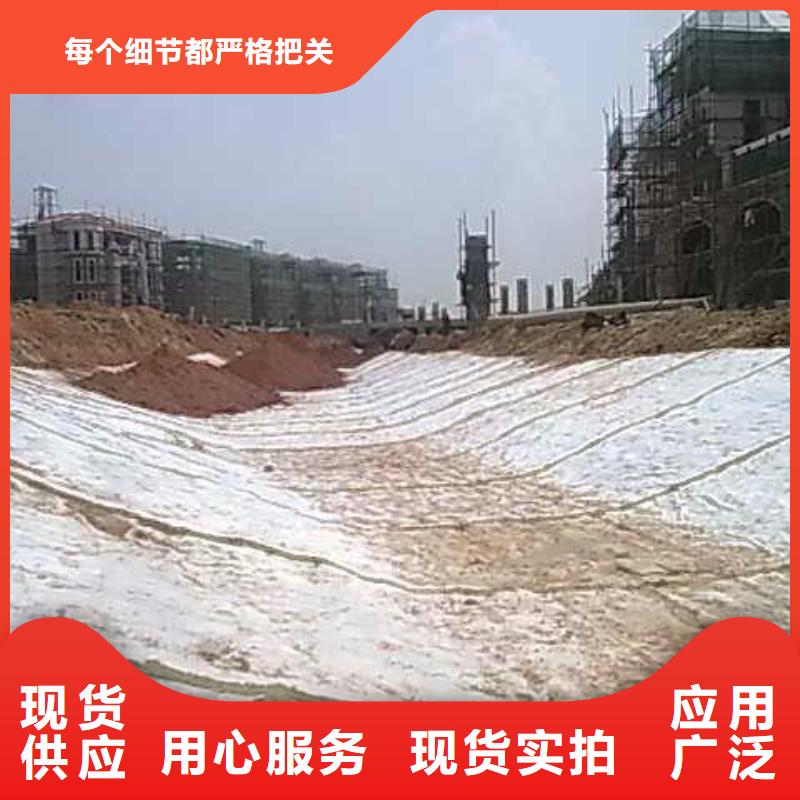 膨润土防水毯【双向塑料土工格栅】精工制作