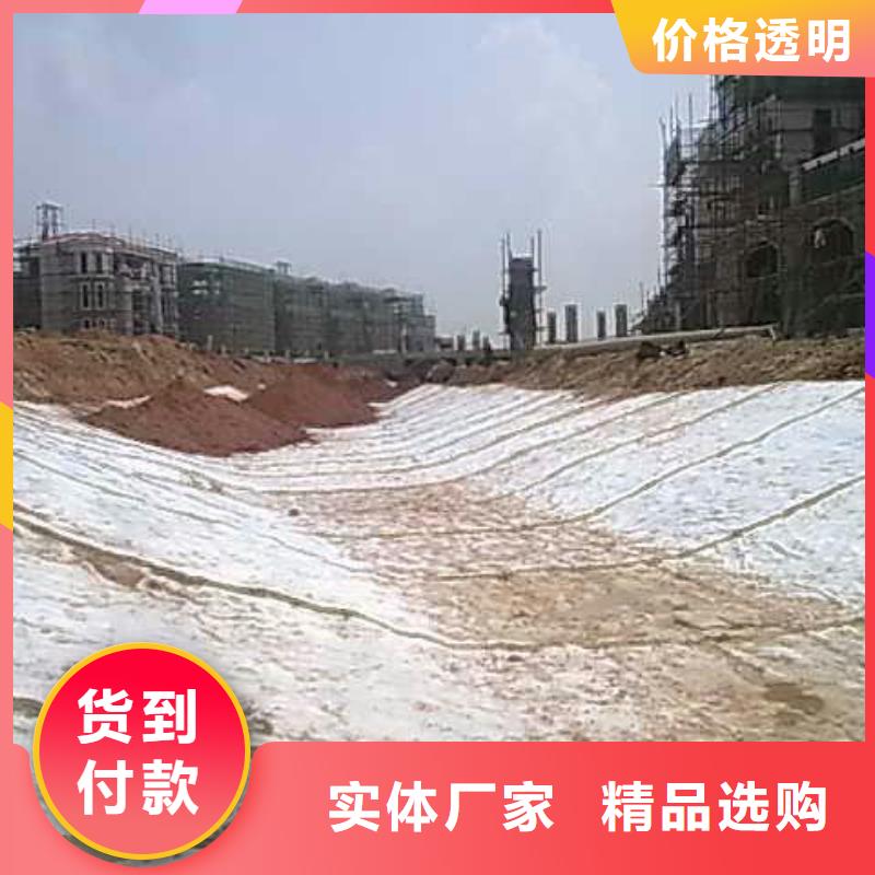 膨润土防水毯双向塑料土工格栅经验丰富质量放心