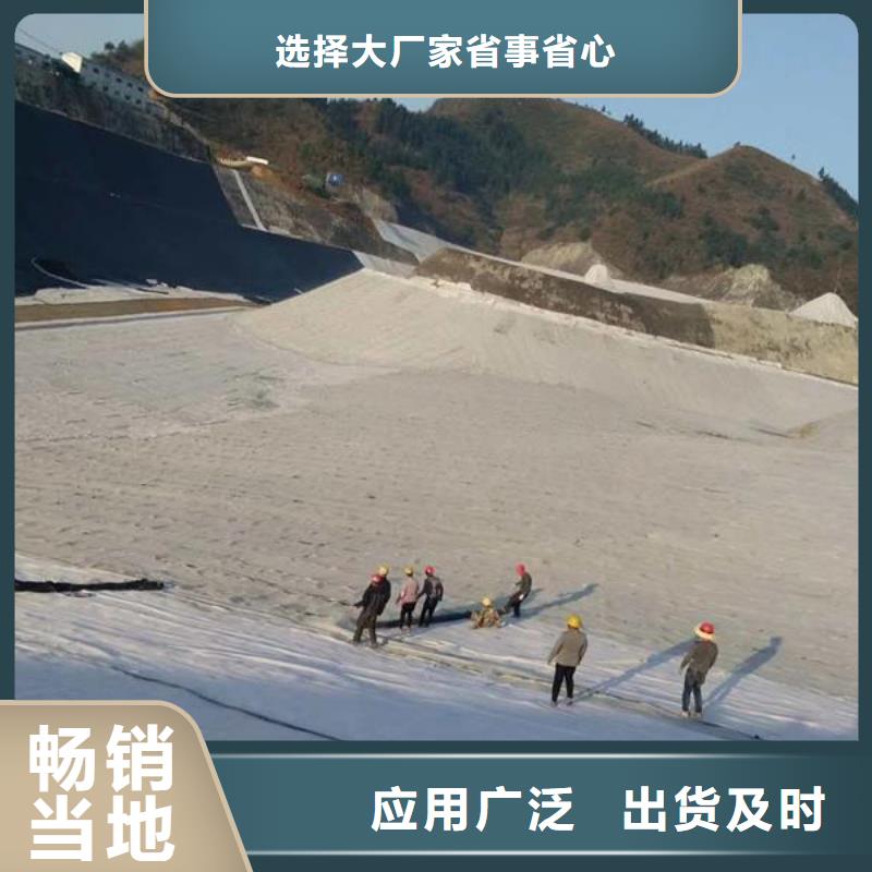 膨润土防水毯双向塑料土工格栅经验丰富质量放心