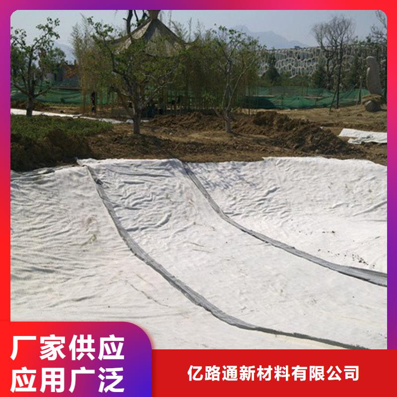 膨润土防水毯涤纶土工格栅订制批发