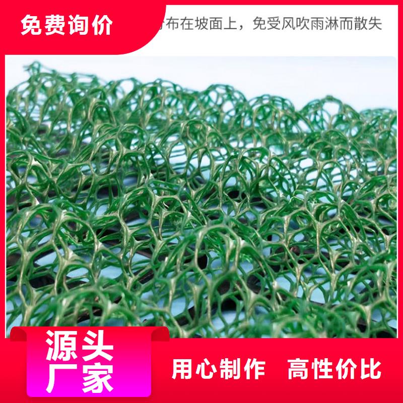 【三维植被网】复合土工膜定制零售批发