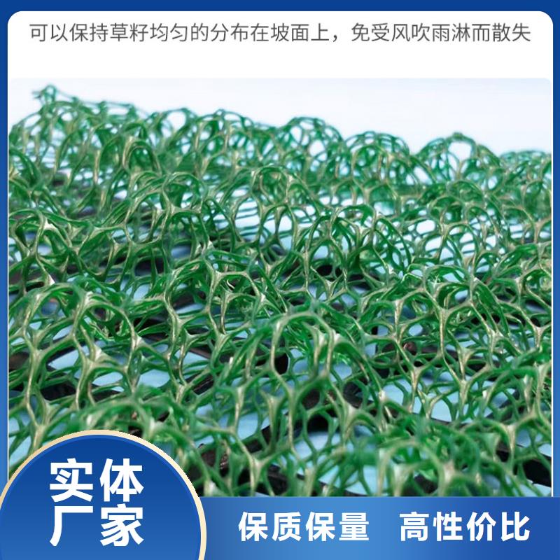 三维植被网反滤土工布厂家自营