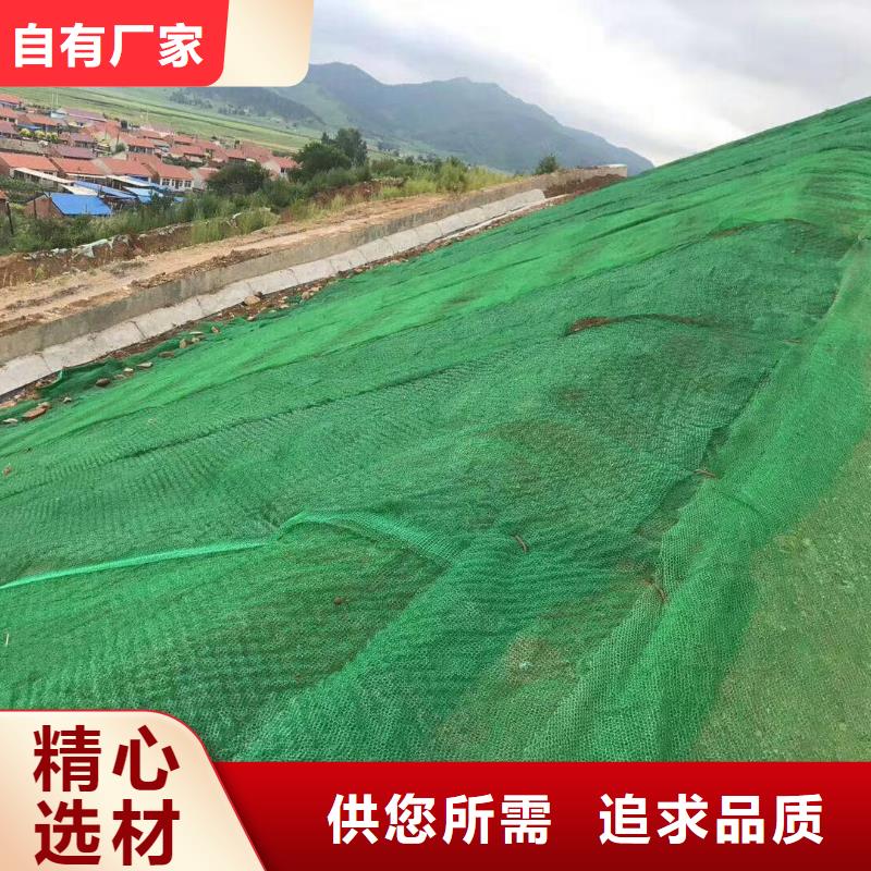 【三维植被网】_钢塑土工格栅经验丰富品质可靠