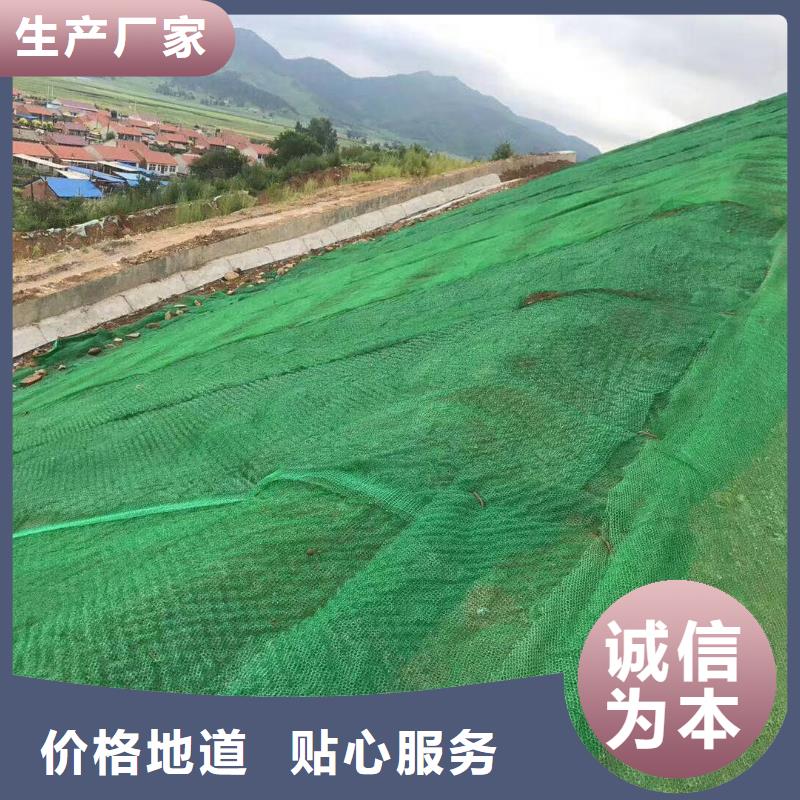 三维植被网双向塑料土工格栅闪电发货